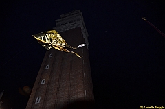 Venice kite festival_0316